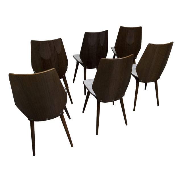Baumann Model 840 G2S Chairs in Varnished Mahogany Finish, 1963, Set of 6 For Sale