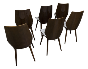 Baumann Model 840 G2S Chairs in Varnished Mahogany Finish, 1963, Set of 6