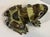 Ceramic Vintage Ceramic Usa Marked Garden Frog For Sale - Image 7 of 9