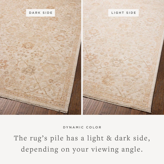 Textile Chris Loves Julia x Loloi Palma Natural / Spice 9'-6" x 13'-1" Area Rug For Sale - Image 7 of 7