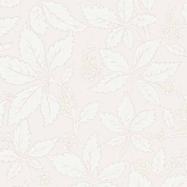 Sample - Borastapeter Vildvin Wallpaper in Bone For Sale