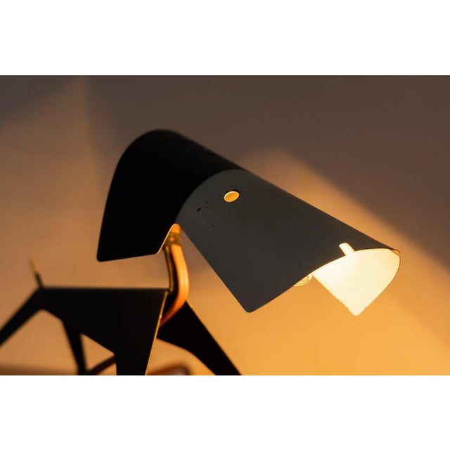 French Dog Lamp by Jean Boris Lacroix for Disderot, 1950 For Sale - Image 3 of 18