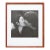 1995 the Estate of John Lennon and Yoko Ono Poster, Signed and Numbered 111/2500 For Sale