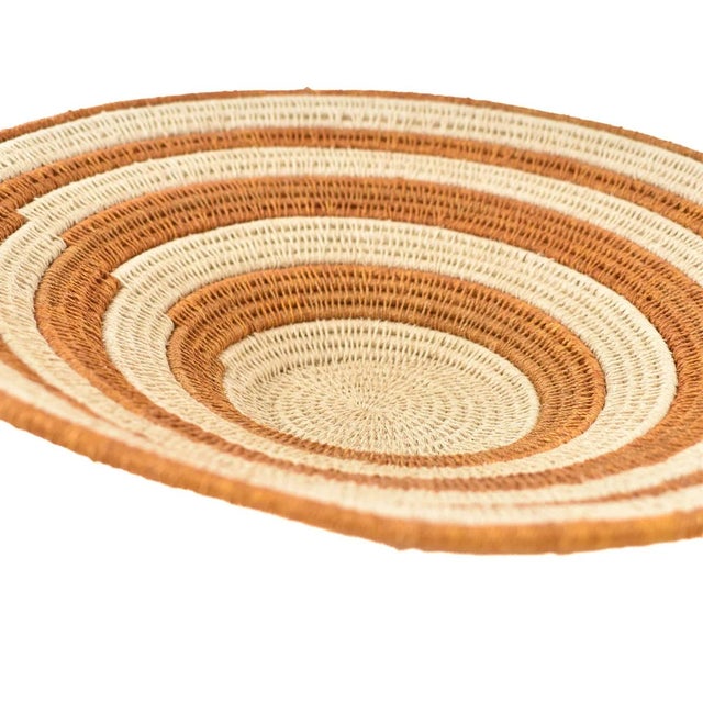 Early 20th Century Early 20th Century Sisal Handwoven Basket Brown Striped Eswatini 12inch For Sale - Image 5 of 5
