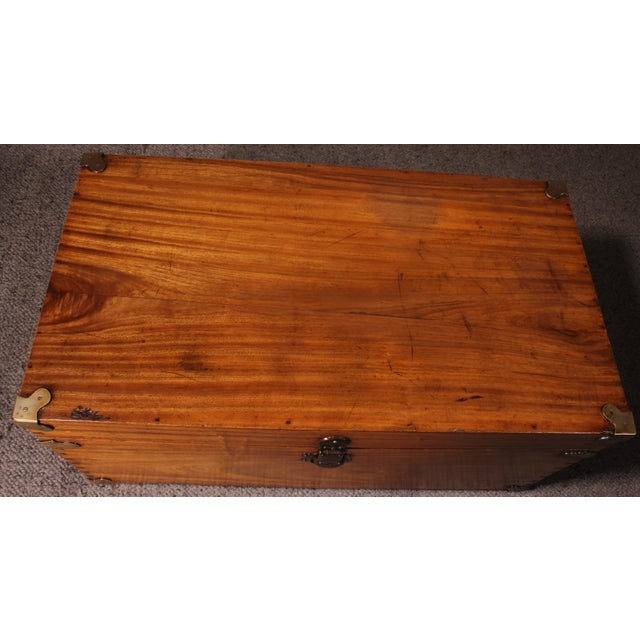 Camphor Wood Campaign Chest For Sale - Image 4 of 15