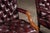 Late 20th Century Pair of Tufted Leather Square-Back Dining Chairs in Oxblood For Sale - Image 12 of 17