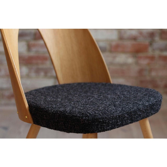 Mid-Century Modern Dining Chairs by A. Šuman, 1960s, Set of 14 For Sale - Image 14 of 18