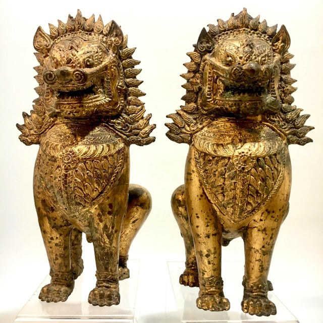 Gilt Bronze Foo Dogs - a Pair For Sale - Image 12 of 12