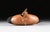 Brown Hand Carved and Painted Canada Goose by H. W. Stewart, 14” X 8.5” For Sale - Image 8 of 10