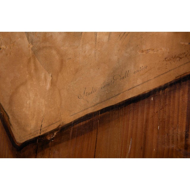 Brown French Scrubbed Pine Decoupage & Trompe l'Oeil Doors For Sale - Image 8 of 18
