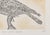 2000 - 2009 Maria Paletta, Carrier Pigeon, Etching For Sale - Image 5 of 6