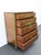 Wood French Early 1900s Carved Hand Painted Cameo Tall Chest of Drawers 6561 For Sale - Image 7 of 18