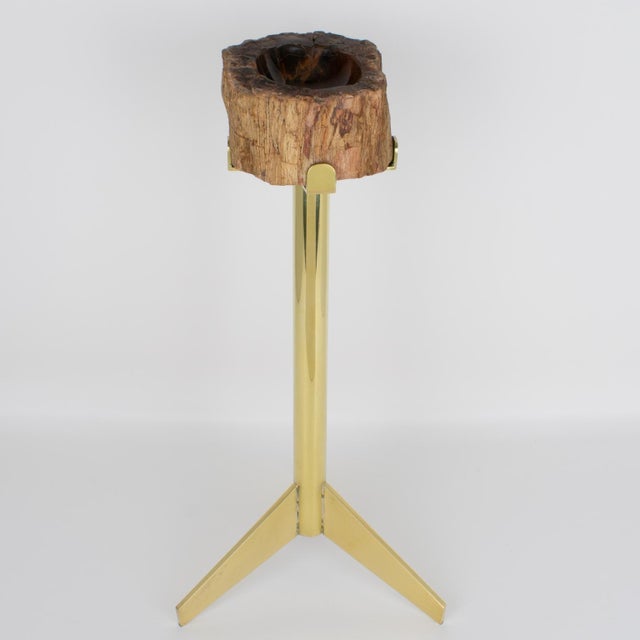 Brown Mid-Century Brass and Petrified Wood Ashtray Vide Poche Side Table, circa 1960 For Sale - Image 8 of 14