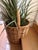 Farmhouse Vintage Rustic Woven Wicker Staircase Step Basket With Handle For Sale - Image 3 of 3