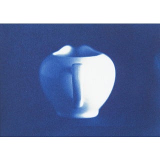 Vintage Eric Weller Still Life in Blue Cyanotype Photograph For Sale