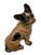 Hubley Manufacturing Company Vintage 1930s Hubley Manufacturing Co. Cast Iron French Bulldog Doorstop Unusual Green Collar For Sale - Image 4 of 18
