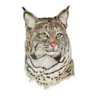 Jacquie Marie Vaux, Wildcat, Circa 1990 For Sale