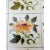 Art Nouveau Tile, 1930s For Sale - Image 4 of 10