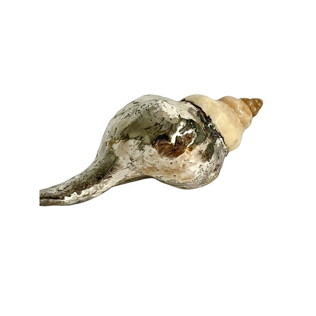 Late 20th Century Vintage Partially Silvered Conch Shell in the Style of Bucellati For Sale - Image 5 of 15