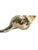 Late 20th Century Vintage Partially Silvered Conch Shell in the Style of Bucellati For Sale - Image 5 of 15