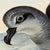 Rare Gould Pattern Gallery, 19th Century Hand-Colored Lithographs From John Gould’s Birds of Australia | Custom Mat Selection - Set of 6 For Sale - Image 15 of 18