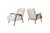 Rio Lounge Chairs by Pierre Guariche for Meurop, Belgium, 1960, Set of 2 For Sale - Image 13 of 13