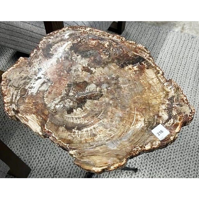 Petrified Wood Side Table For Sale In West Palm - Image 6 of 8