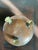 Mid 20th Century Vintage Italian Hammered Copper Cachepot Planter on Claw Feet For Sale - Image 5 of 9