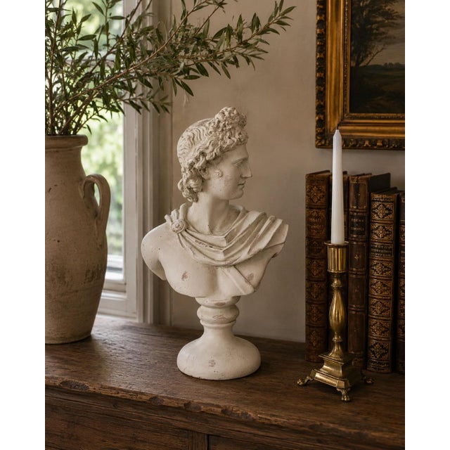 A finely modeled plaster bust of Apollo Belvedere, inspired by one of antiquity’s most celebrated classical sculptures....