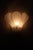 Beautiful small sconce in frosted glass, which can be attributed to Kalmar due to its workmanship. The five elements are...