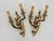 Bronze Double-Light Wall Sconces with Acanthus Leaves, 1960s, Set of 2 For Sale - Image 9 of 10
