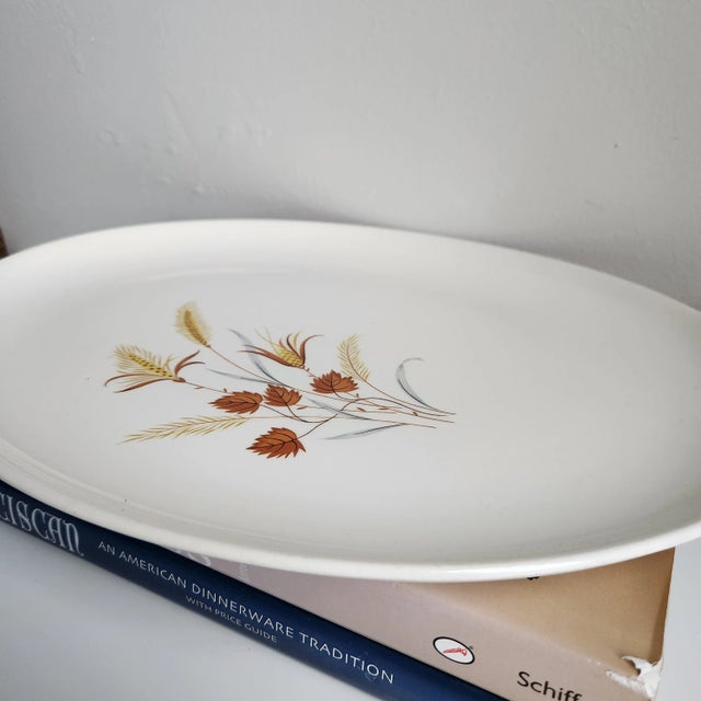 Mid-Century Modern Mid Century Oval Serving Platter Autumn Harvest by Taylor, Smith & Taylor For Sale - Image 3 of 7