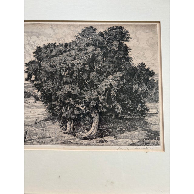 1942 Lucioni Etching “Classic Pastures” For Sale In Greenville, SC - Image 6 of 6