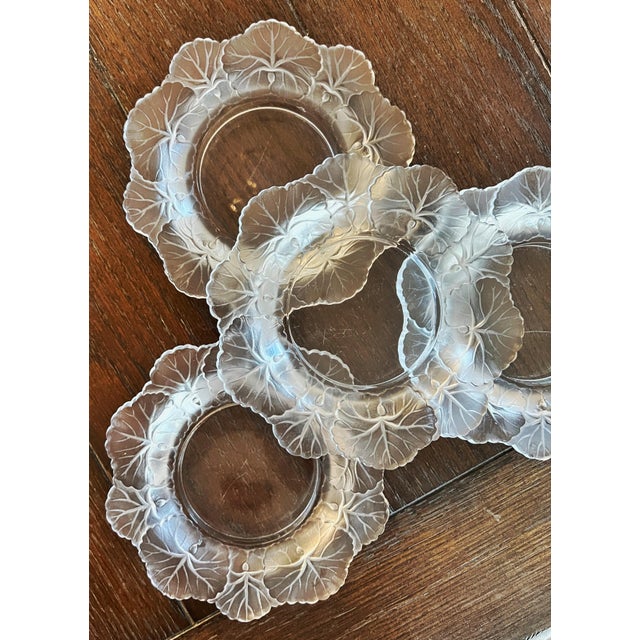 Mid 20th Century Antique Lalique France Crystal Honfleur Geranium Set of Four Bowls 6"Diameter C1940s For Sale - Image 5 of 10