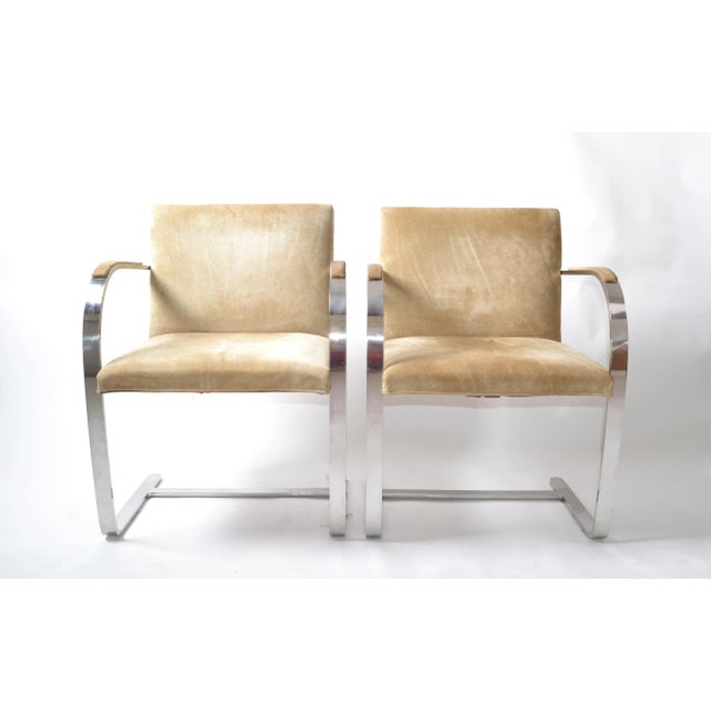 Pair of Mid-Century Modern Mies van der Rohe flatbar Brno for Knoll in stainless steel with the original Ultrasuede...