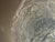 Textured Glass Flush Mount from Limburg, Germany, 1970s, Set of 2 For Sale - Image 9 of 16