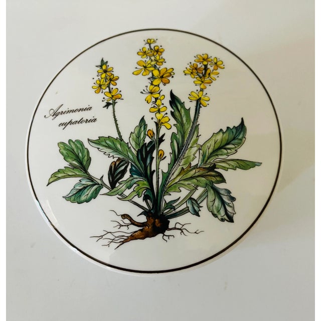Boho Chic 1980s Boho Villeroy & Boch Porcelain Box Botanical For Sale - Image 3 of 5