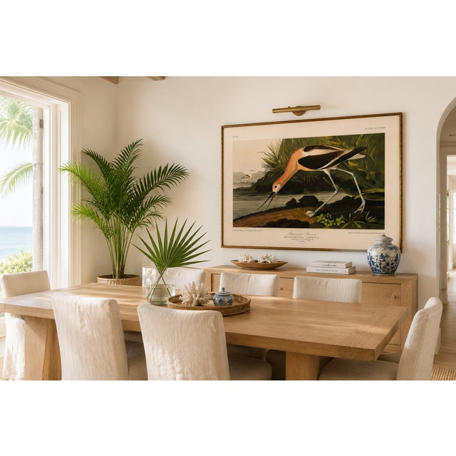 Paper American Avocet, Museum Style Audubon Bird Print, 36" X 24" For Sale - Image 7 of 12