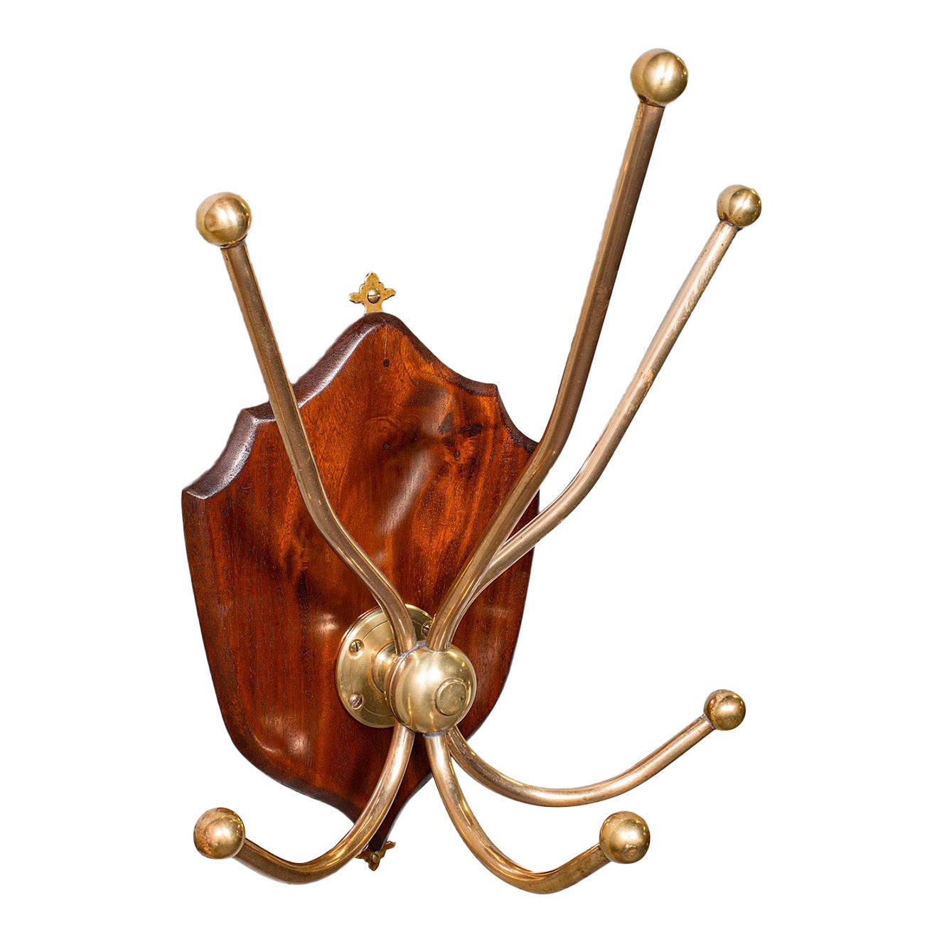 Antique Hunting Lodge Coat Rack, Scottish, Six Branch Hall Shield ...