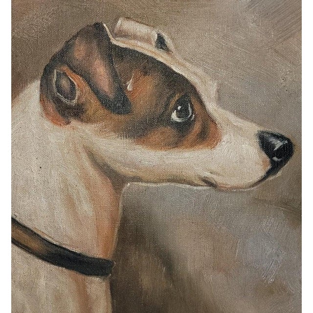 Hand painted oil painting of a Jack Russell Terrier. Typical color pallet on the coat of the Jack Russell. Custom made...