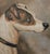 Hand painted oil painting of a Jack Russell Terrier. Typical color pallet on the coat of the Jack Russell. Custom made...