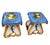 Elevate your living space with this striking pair of vintage hand-painted ceramic garden stools, crafted in the vibrant...