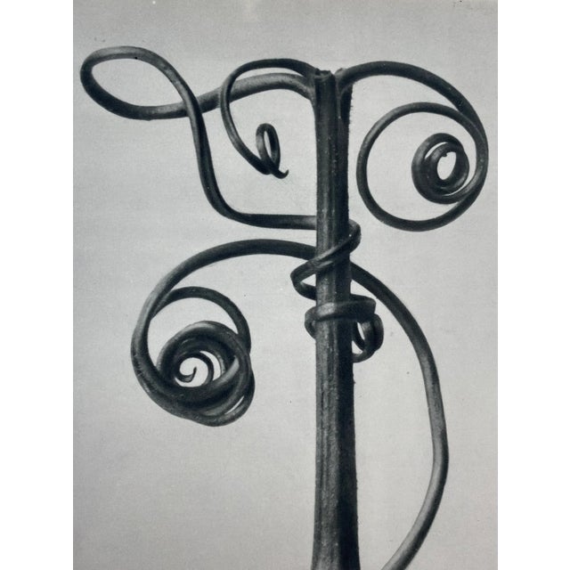 Traditional Antique Botanical Blossfeldt Print - No. 53 For Sale - Image 3 of 6