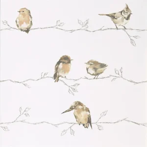 Harlequin Perisco Wallpaper in Neutral/Chalk - a Sample