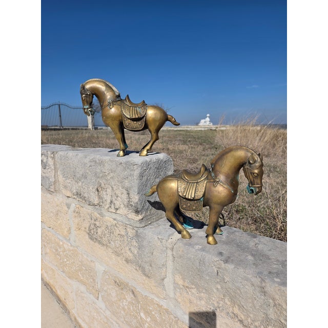 1960s Pair of Tang Style Chinese Horses For Sale - Image 5 of 17