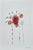 Wood Set of 6 - Organic Modern Minimalist Flower Studies | Botanical Paintings | Herbarium Wall Art | Unframed For Sale - Image 7 of 12