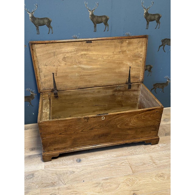 Wood 18th Century Elm Trunk For Sale - Image 7 of 9
