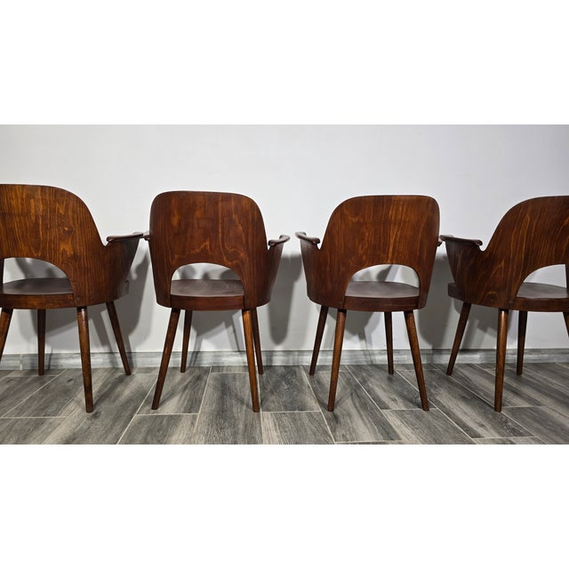 Dining Chairs by Oswald Haerdtl for Ton, 1950s, Set of 4 For Sale - Image 3 of 18