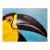 Campos - Portrait of a Toucan Bird -1960s Oil Painting For Sale