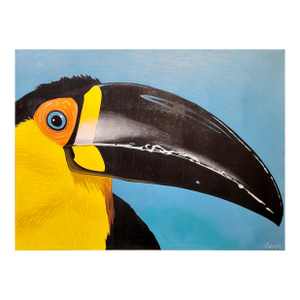 Campos - Portrait of a Toucan Bird -1960s Oil Painting